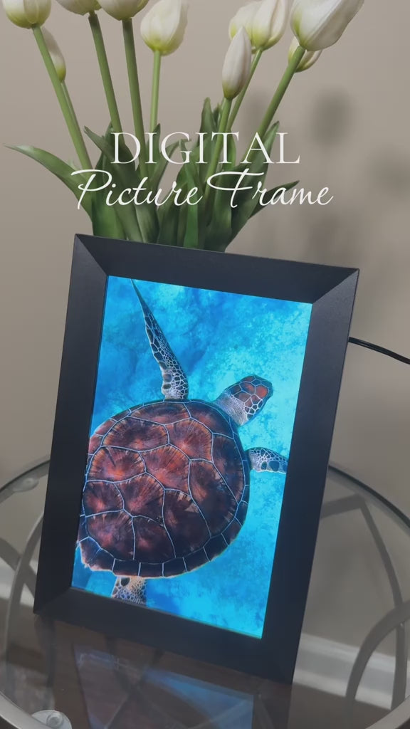 Smart WiFi Digital Photo Frame (10.1")