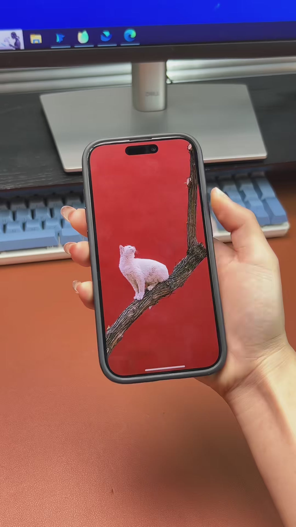 E-Ink NFC Smart Phone Case Battery-Free