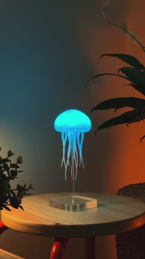 Aurora Jellyfish Lamp