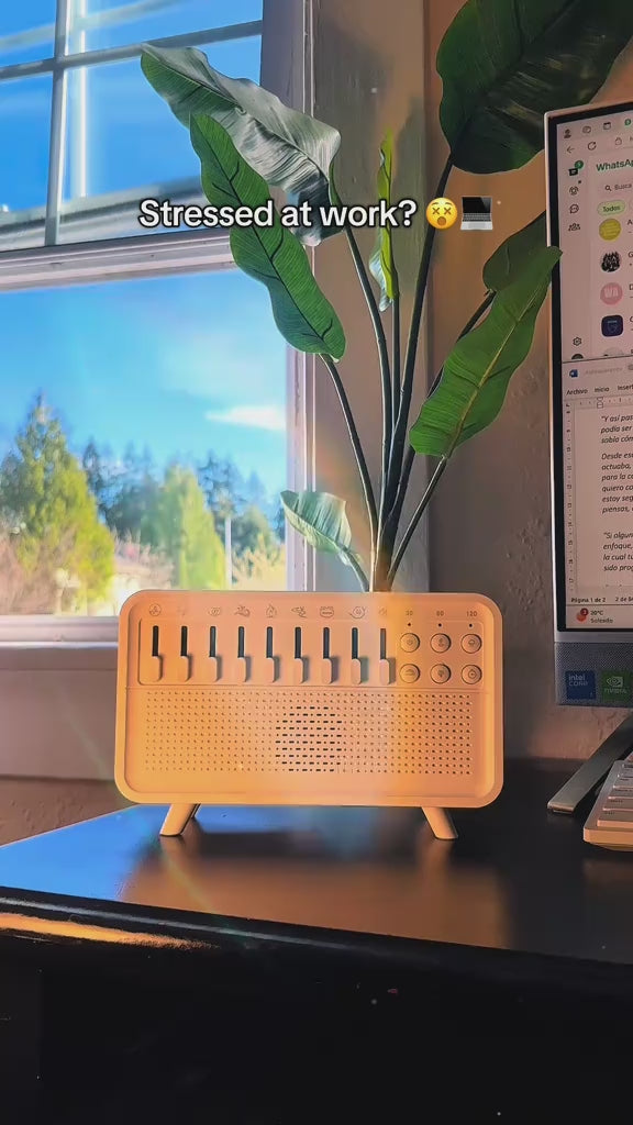 5-in-1 White Noise Speaker with Humidifier & Night Light